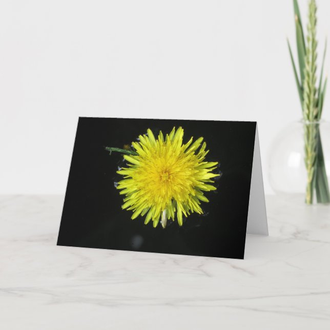 Just Dandy Kort (Framsida)