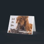 **JUST FÖR DIG GRANDDAUGHTER** BIRTHDAY ÄR SPECIEL KORT<br><div class="desc">TACK FÖR ATT STOPPA MED ETT AV MINA ÅTTA LAGER!</div>