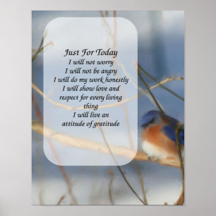 Just för idag, blåfågelinspiration poster