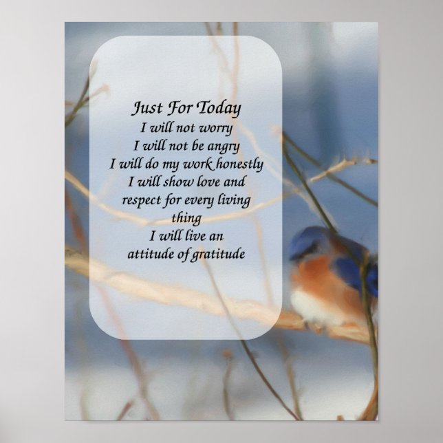Just för idag, blåfågelinspiration poster (Framsidan)