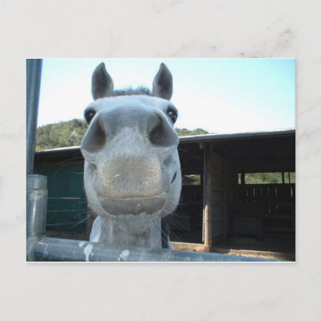 Just för idag vykort (Framsida)