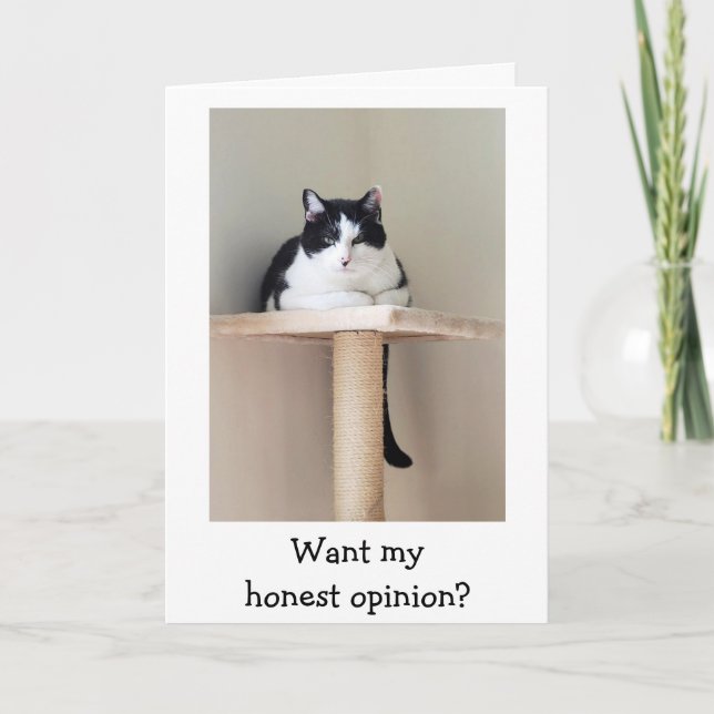 Just For Laughs Cat Cancer Support Card Kort (Framsida)