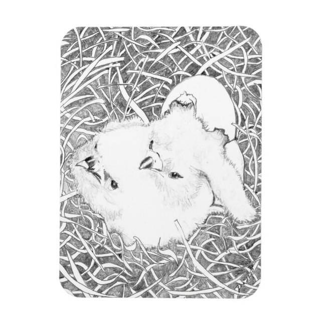 JUST HATCHED EGLETS E15 + E16 SOM VILL AVBRYTA BRE MAGNET (Vertikal)