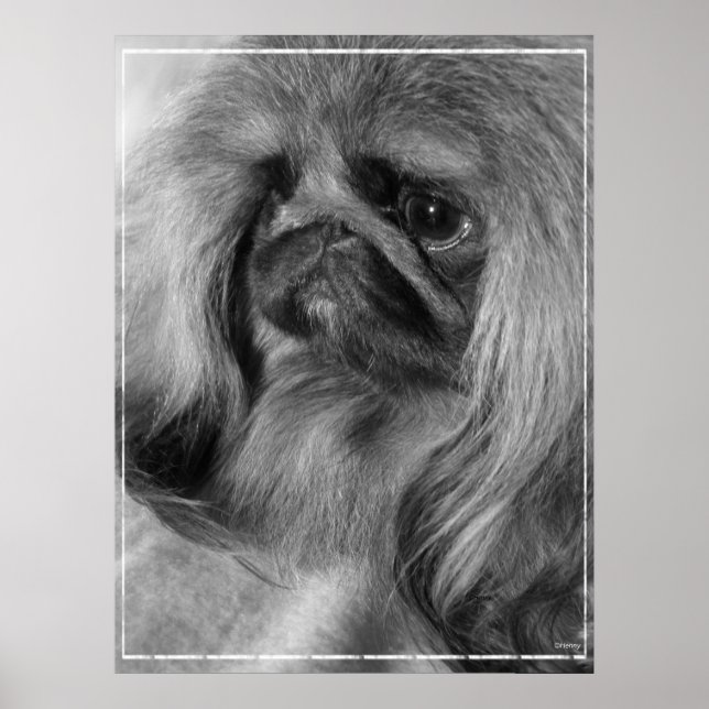 Just Jeroen Poster (Framsidan)