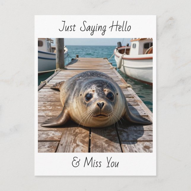 Just Saying Hi | Keeping in Touch Cute Seal Vykort (Framsida)