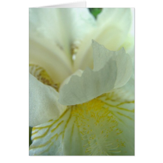 juste de tout hälsningskort (Framsidan)