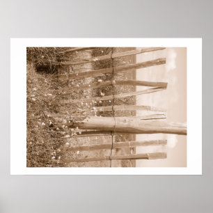 justera poster