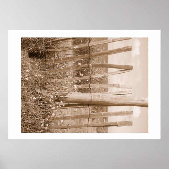 justera poster (Framsidan)