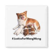 Justice for Wang Wang