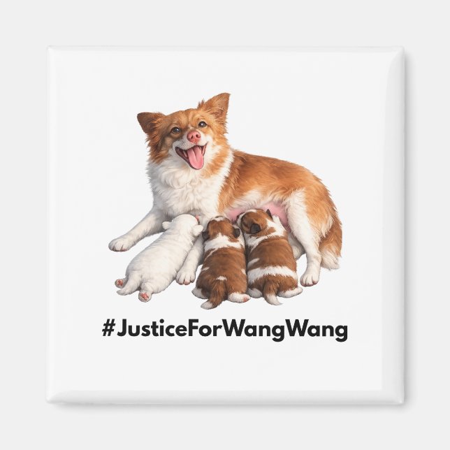 Justice for Wang Wang Magnet (Framsidan)