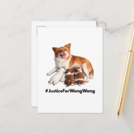 Justice for Wang Wang Vykort