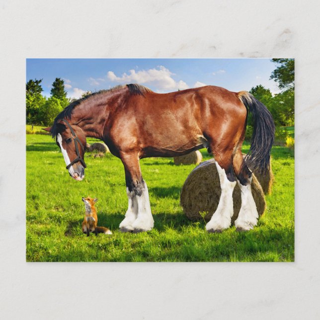 "Justin & en vän" vykort (Framsida)