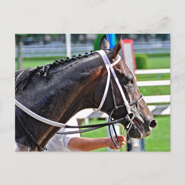 Justin Phillip fångar Vanderbilt Vykort (Framsida)