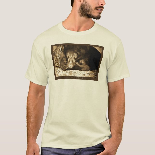 Juvel Januari 22, 2012 Tröja (Framsida)