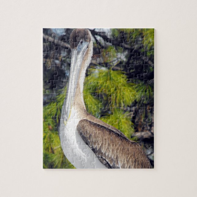 Juvenile Brown Pelican Pussel (Vertikal)