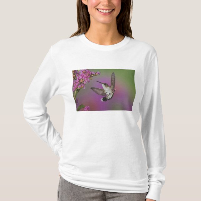 Juvenile han Ruby Throated Hummingbird T-shirt (Framsida)