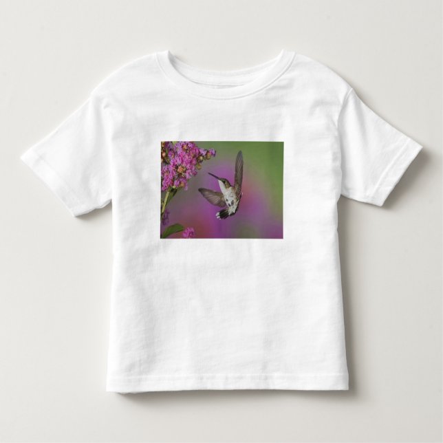 Juvenile han Ruby Throated Hummingbird T Shirt (Framsida)
