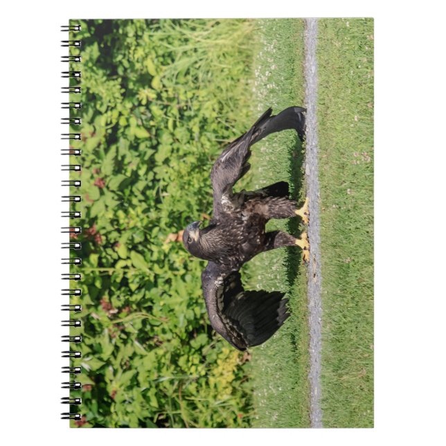 Juvenile Örn Anteckningsbok Med Spiral (Framsidan)