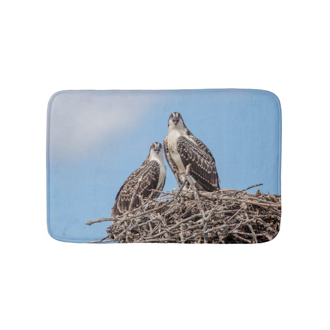 Juvenile Osprey i boet Badrumsmatta (Framsidan)