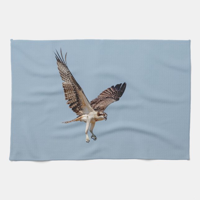 Juvenile Osprey under flygning Kökshandduk (Horisontell)