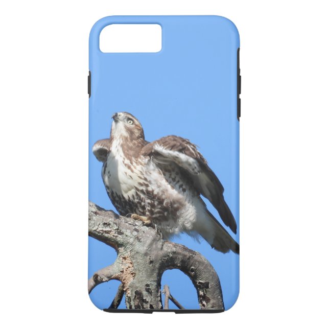 Juvenile Red Svan Hawk Case-Mate iPhone Skal (Baksida)