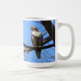 (Juvenile) Red Tail Hawk Mugg