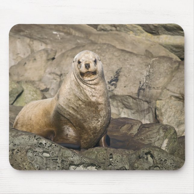 Juvenile Steller Sea Lejon - Mouse Pad Musmatta (Framsidan)