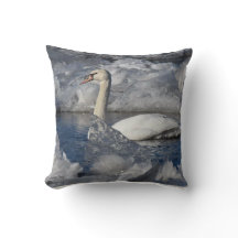 Juvenile Svan i floden Icey