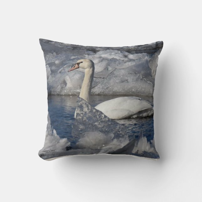 Juvenile Svan i floden Icey Kudde (Framsida)
