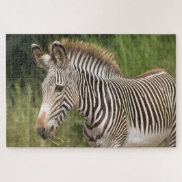 Juvenile Zebra Pussel