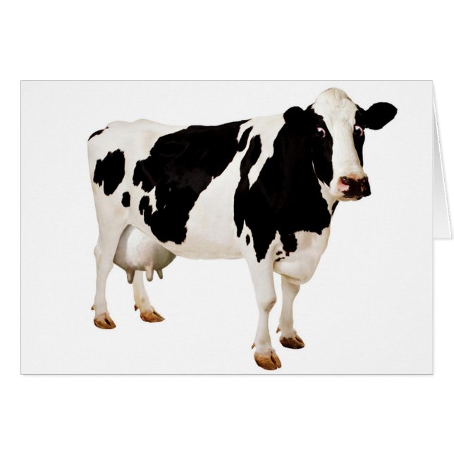 Juvernonsens Hälsningskort (Framsidan Horizontal)