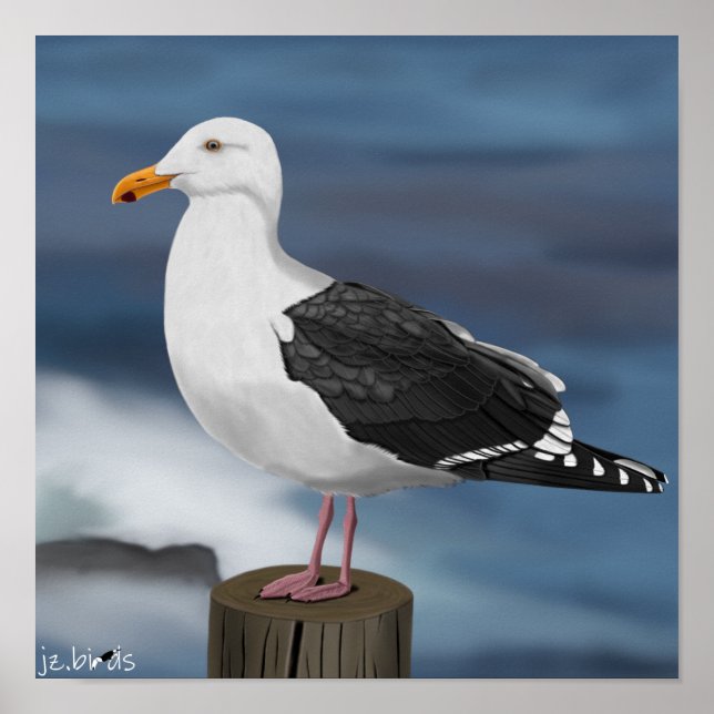 jz.bird Möwe Poster (Framsidan)