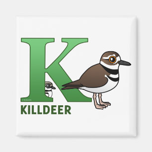 K är för Killdeer Magnet