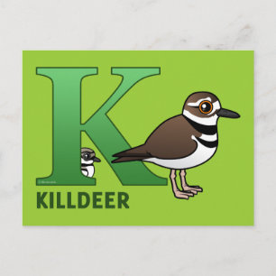 K är till Killdeer Vykort