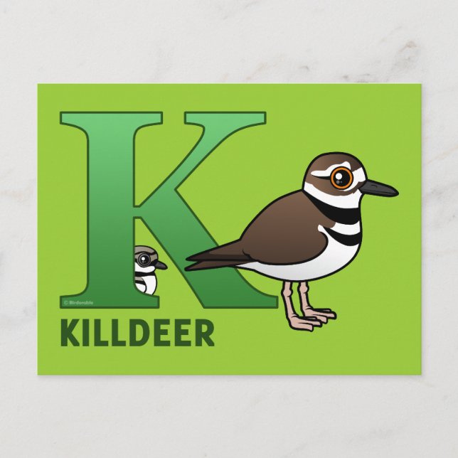 K är till Killdeer Vykort (Framsida)