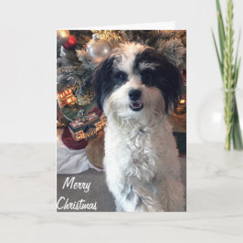 K-Cee-julkort, God jul Kort