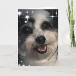 K-Cee Stars Tack Kort