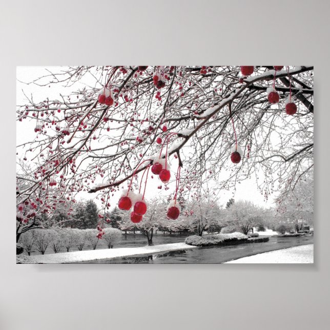 K&K Winter Berry Poster (Framsidan)
