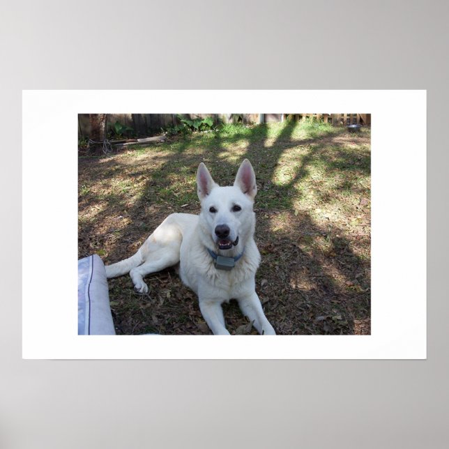 k poster (Framsidan)