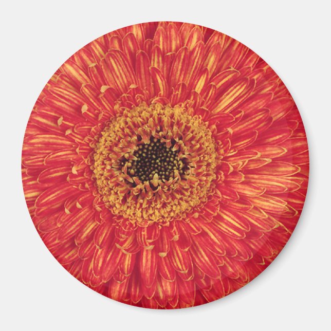 KA-Bloom! Magnet (Framsidan)