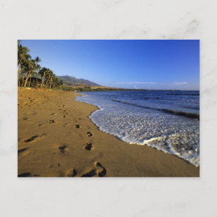 Kaanapali strand, Maui, Hawaii, USA Vykort