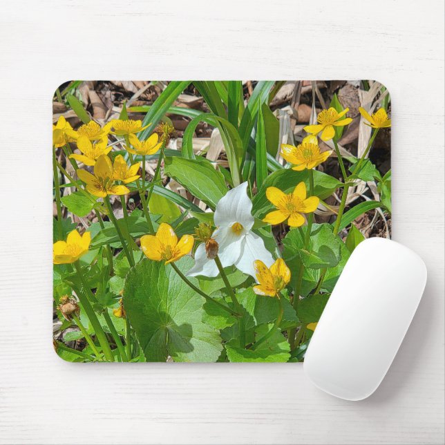 Kabarblommor med Trillium Musmatta (Med mus)