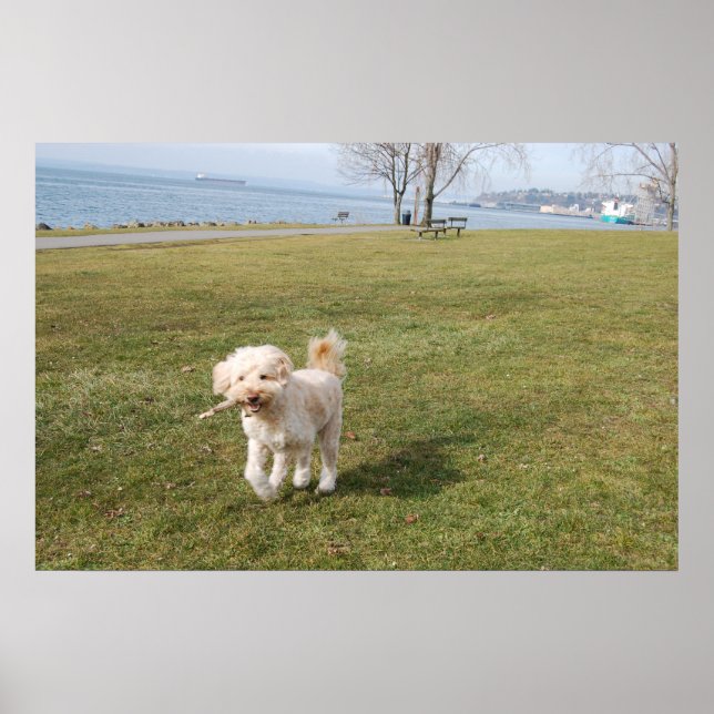 kabel1 poster (Framsidan)