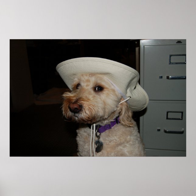 kabel6 poster (Framsidan)