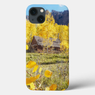 Kabin i aspen