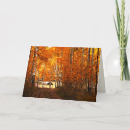 Kabin i Aspen Kolob Utah Blank Greeting Card Kort