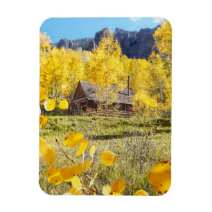 Kabin i aspen magnet