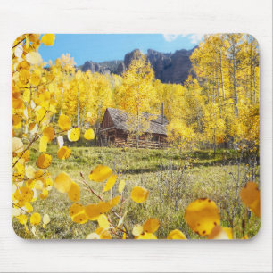 Kabin i aspen musmatta