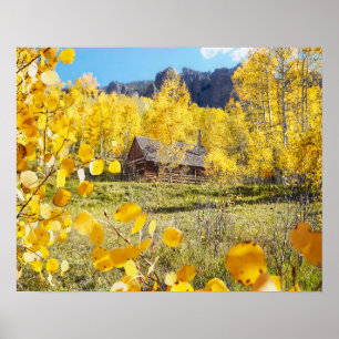 Kabin i aspen poster
