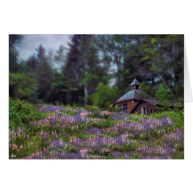 Kabin i Lupine Card Hälsningskort (Framsidan Horizontal)